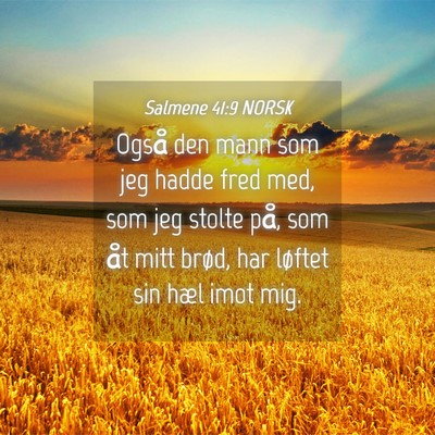 Picture 04 - Salmene 41:9 NORSK - Også den mann som jeg hadde fred med, som jeg - Bible Verse Picture