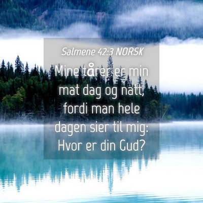 Picture 04 - Salmene 42:3 NORSK - Mine tårer er min mat dag og natt, fordi man - Bible Verse Picture