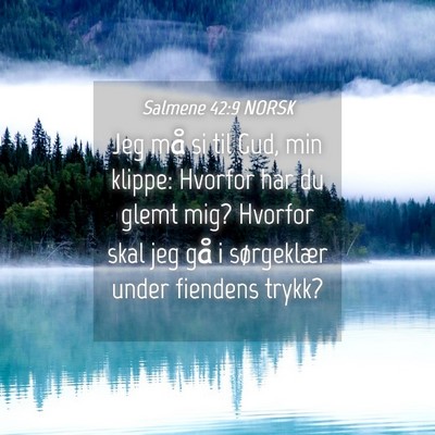 Picture 04 - Salmene 42:9 NORSK - Jeg må si til Gud, min klippe: Hvorfor har du - Bible Verse Picture