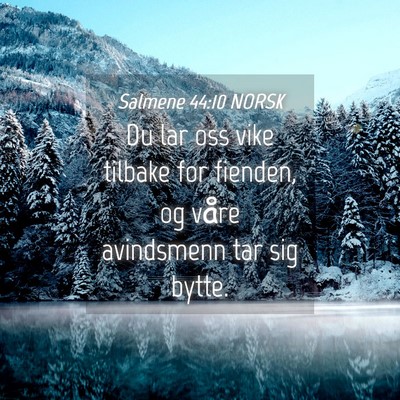 Picture 04 - Salmene 44:10 NORSK - Du lar oss vike tilbake for fienden, og våre - Bible Verse Picture