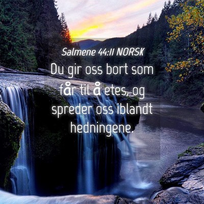Picture 04 - Salmene 44:11 NORSK - Du gir oss bort som får til å etes, og spreder - Bible Verse Picture