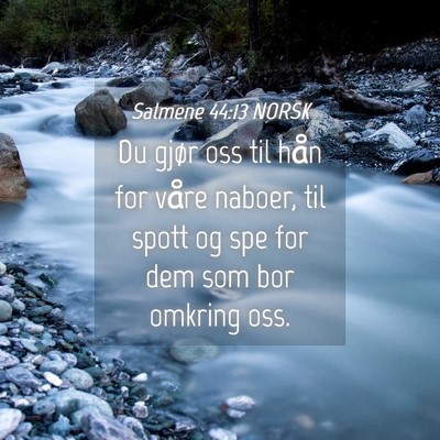 Picture 04 - Salmene 44:13 NORSK - Du gjør oss til hån for våre naboer, til spott - Bible Verse Picture