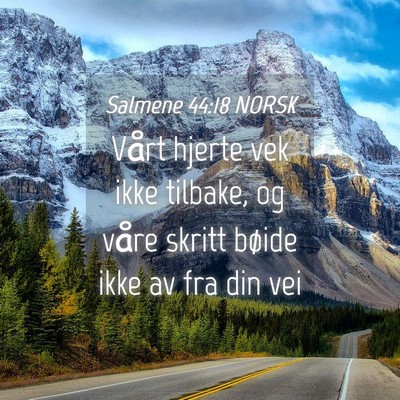 Picture 04 - Salmene 44:18 NORSK - Vårt hjerte vek ikke tilbake, og våre skritt - Bible Verse Picture