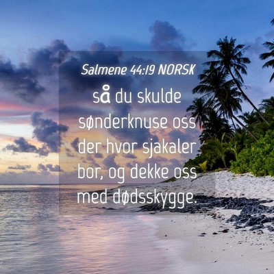 Picture 04 - Salmene 44:19 NORSK - så du skulde sønderknuse oss der hvor sjakaler - Bible Verse Picture