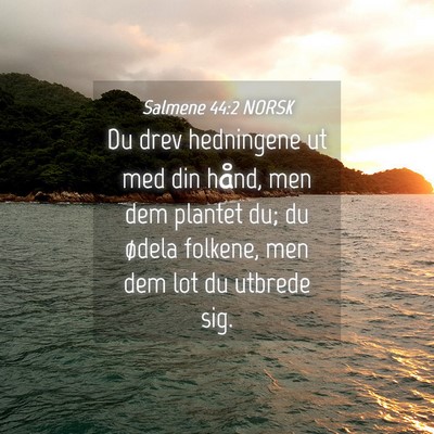 Picture 04 - Salmene 44:2 NORSK - Du drev hedningene ut med din hånd, men dem - Bible Verse Picture