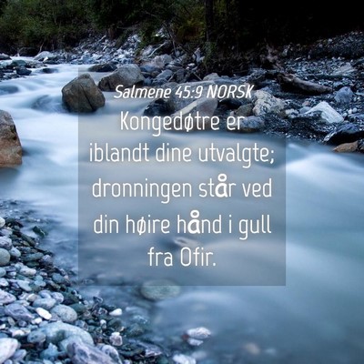 Picture 04 - Salmene 45:9 NORSK - Kongedøtre er iblandt dine utvalgte; dronningen - Bible Verse Picture