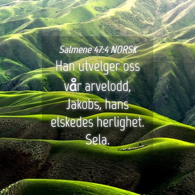 Picture 04 - Salmene 47:4 NORSK - Han utvelger oss vår arvelodd, Jakobs, hans - Bible Verse Picture