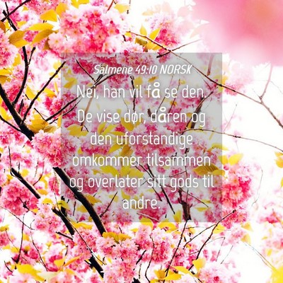 Picture 04 - Salmene 49:10 NORSK - Nei, han vil få se den. De vise dør, dåren og - Bible Verse Picture
