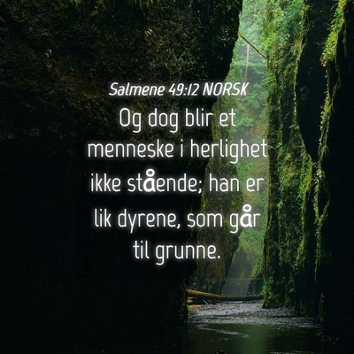 Picture 04 - Salmene 49:12 NORSK - Og dog blir et menneske i herlighet ikke - Bible Verse Picture