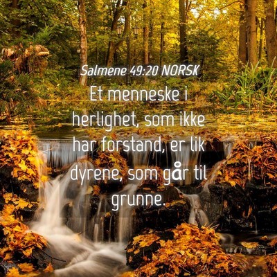 Picture 04 - Salmene 49:20 NORSK - Et menneske i herlighet, som ikke har forstand, - Bible Verse Picture