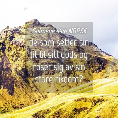 Picture 04 - Salmene 49:6 NORSK - de som setter sin lit til sitt gods og roser sig - Bible Verse Picture