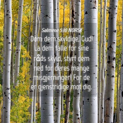 Picture 04 - Salmene 5:10 NORSK - Døm dem skyldige, Gud! La dem falle for sine - Bible Verse Picture