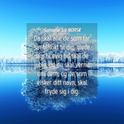 Picture 04 - Salmene 5:11 NORSK - Da skal alle de som tar sin tilflukt til dig, - Bible Verse Picture