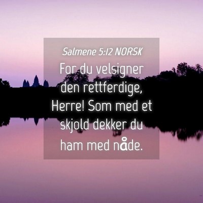 Picture 04 - Salmene 5:12 NORSK - For du velsigner den rettferdige, Herre! Som med - Bible Verse Picture