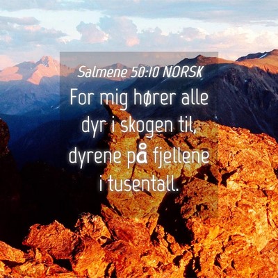 Picture 04 - Salmene 50:10 NORSK - For mig hører alle dyr i skogen til, dyrene på - Bible Verse Picture