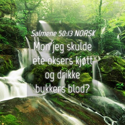 Picture 04 - Salmene 50:13 NORSK - Mon jeg skulde ete oksers kjøtt og drikke - Bible Verse Picture