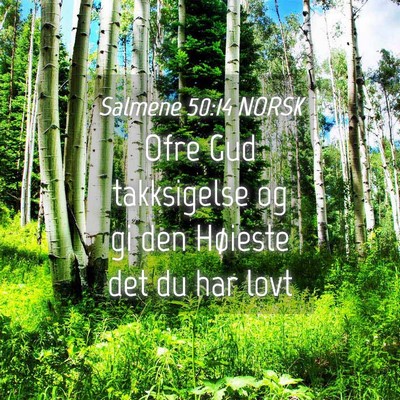 Picture 04 - Salmene 50:14 NORSK - Ofre Gud takksigelse og gi den Høieste det du - Bible Verse Picture