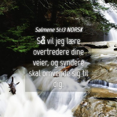 Picture 04 - Salmene 51:13 NORSK - Så vil jeg lære overtredere dine veier, og - Bible Verse Picture
