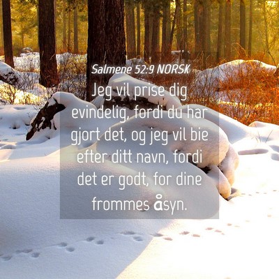 Picture 04 - Salmene 52:9 NORSK - Jeg vil prise dig evindelig, fordi du har gjort - Bible Verse Picture