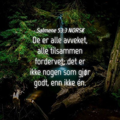 Picture 04 - Salmene 53:3 NORSK - De er alle avveket, alle tilsammen fordervet; det - Bible Verse Picture