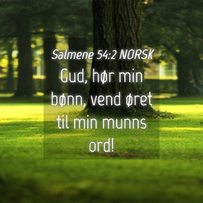 Picture 04 - Salmene 54:2 NORSK - Gud, hør min bønn, vend øret til min munns - Bible Verse Picture