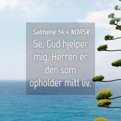 Picture 04 - Salmene 54:4 NORSK - Se, Gud hjelper mig, Herren er den som opholder - Bible Verse Picture