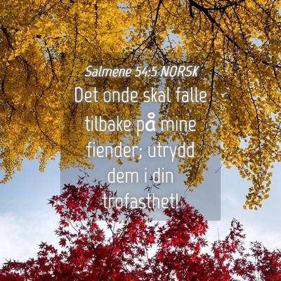 Picture 04 - Salmene 54:5 NORSK - Det onde skal falle tilbake på mine fiender; - Bible Verse Picture