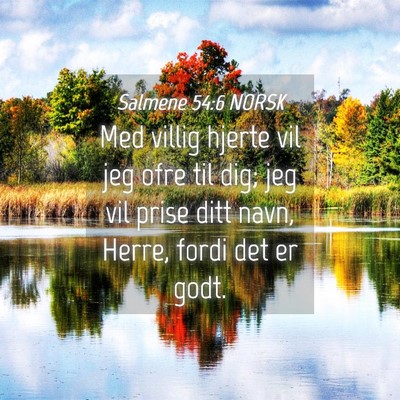 Picture 04 - Salmene 54:6 NORSK - Med villig hjerte vil jeg ofre til dig; jeg vil - Bible Verse Picture