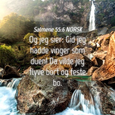 Picture 04 - Salmene 55:6 NORSK - Og jeg sier: Gid jeg hadde vinger som duen! Da - Bible Verse Picture
