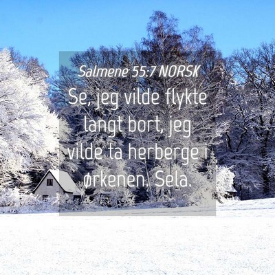 Picture 04 - Salmene 55:7 NORSK - Se, jeg vilde flykte langt bort, jeg vilde ta - Bible Verse Picture