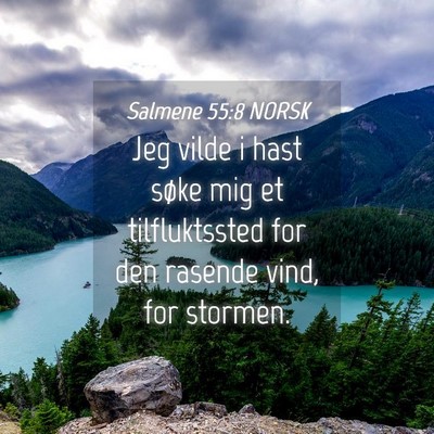 Picture 04 - Salmene 55:8 NORSK - Jeg vilde i hast søke mig et tilfluktssted for - Bible Verse Picture