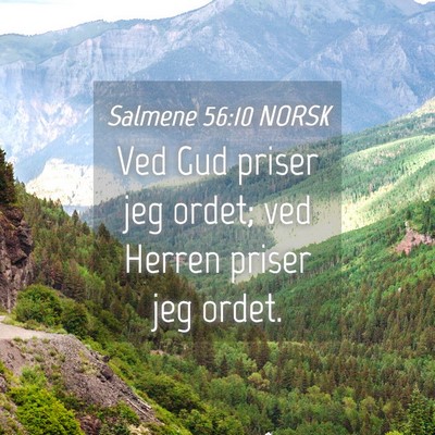Picture 04 - Salmene 56:10 NORSK - Ved Gud priser jeg ordet; ved Herren priser jeg - Bible Verse Picture