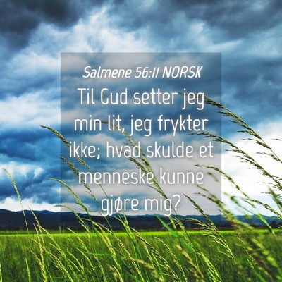 Picture 04 - Salmene 56:11 NORSK - Til Gud setter jeg min lit, jeg frykter ikke; - Bible Verse Picture