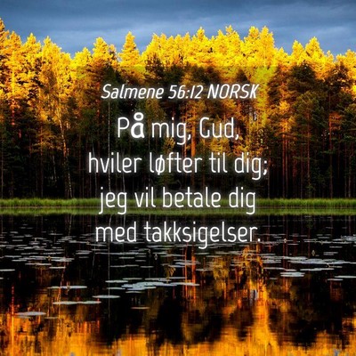 Picture 04 - Salmene 56:12 NORSK - På mig, Gud, hviler løfter til dig; jeg vil - Bible Verse Picture