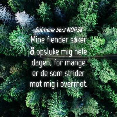Picture 04 - Salmene 56:2 NORSK - Mine fiender søker å opsluke mig hele dagen; - Bible Verse Picture