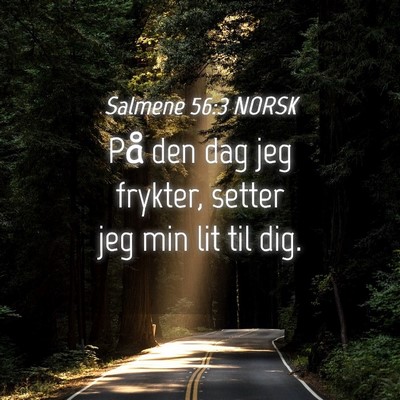 Picture 04 - Salmene 56:3 NORSK - På den dag jeg frykter, setter jeg min lit til - Bible Verse Picture