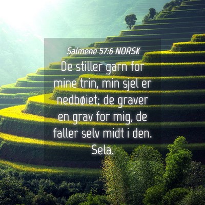 Picture 04 - Salmene 57:6 NORSK - De stiller garn for mine trin, min sjel er - Bible Verse Picture