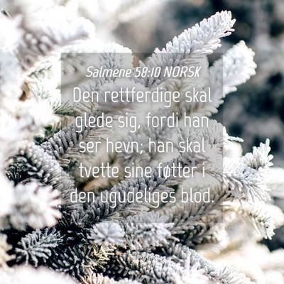 Picture 04 - Salmene 58:10 NORSK - Den rettferdige skal glede sig, fordi han ser - Bible Verse Picture