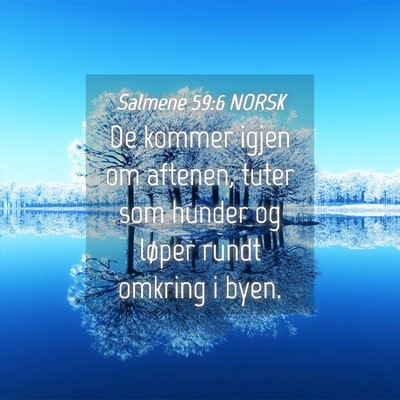 Picture 04 - Salmene 59:6 NORSK - De kommer igjen om aftenen, tuter som hunder og - Bible Verse Picture