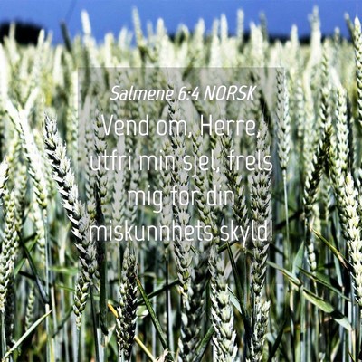 Picture 04 - Salmene 6:4 NORSK - Vend om, Herre, utfri min sjel, frels mig for din - Bible Verse Picture