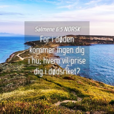 Picture 04 - Salmene 6:5 NORSK - For i døden kommer ingen dig i hu; hvem vil - Bible Verse Picture