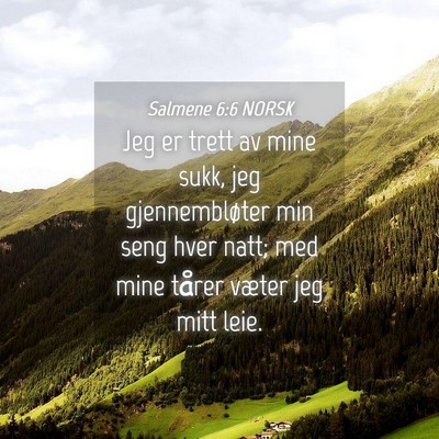Picture 04 - Salmene 6:6 NORSK - Jeg er trett av mine sukk, jeg gjennembløter min - Bible Verse Picture