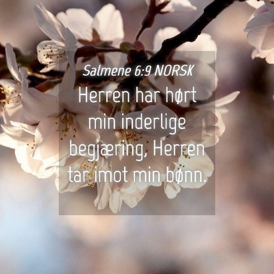 Picture 04 - Salmene 6:9 NORSK - Herren har hørt min inderlige begjæring, Herren - Bible Verse Picture