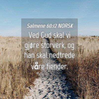 Picture 04 - Salmene 60:12 NORSK - Ved Gud skal vi gjøre storverk, og han skal - Bible Verse Picture