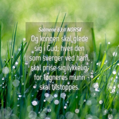 Picture 04 - Salmene 63:11 NORSK - Og kongen skal glede sig i Gud; hver den som - Bible Verse Picture