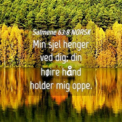Picture 04 - Salmene 63:8 NORSK - Min sjel henger ved dig; din høire hånd holder - Bible Verse Picture