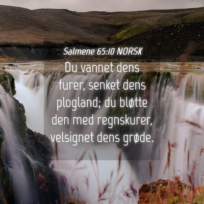Picture 04 - Salmene 65:10 NORSK - Du vannet dens furer, senket dens plogland; du - Bible Verse Picture