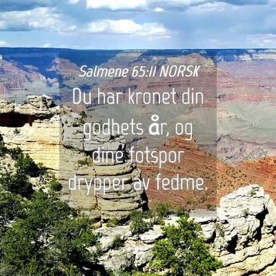 Picture 04 - Salmene 65:11 NORSK - Du har kronet din godhets år, og dine fotspor - Bible Verse Picture