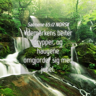 Picture 04 - Salmene 65:12 NORSK - ¥demarkens beiter drypper, og haugene omgjorder - Bible Verse Picture