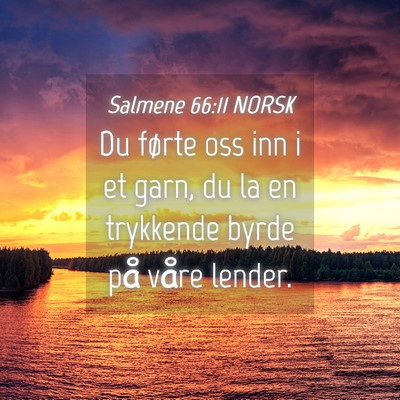 Picture 04 - Salmene 66:11 NORSK - Du førte oss inn i et garn, du la en trykkende - Bible Verse Picture
